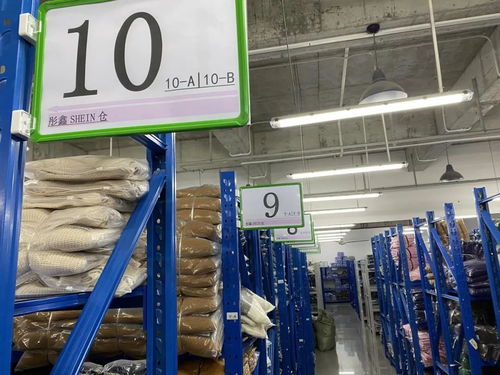 從流水線到直播間 東莞工廠退潮，年輕人涌入Shein與TikTok的掘金新浪潮
