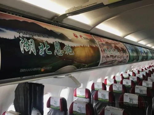 為脫貧插上“金翅膀” 長(zhǎng)龍航空掌門人劉啟宏榮獲“全國(guó)脫貧攻堅(jiān)先進(jìn)個(gè)人”